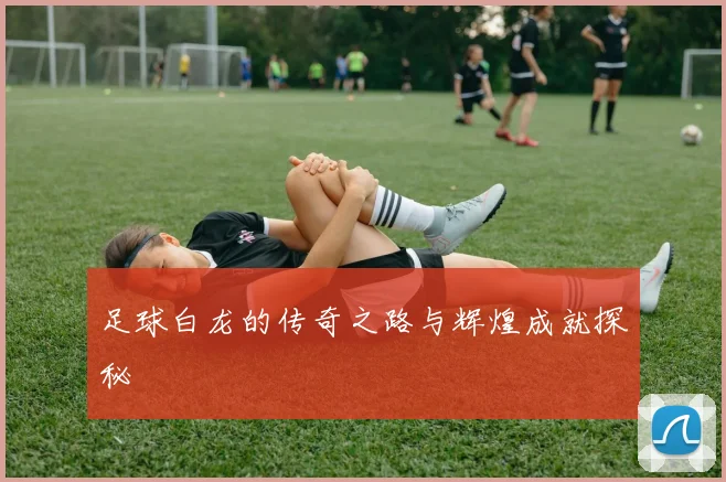 足球白龙的传奇之路与辉煌成就探秘