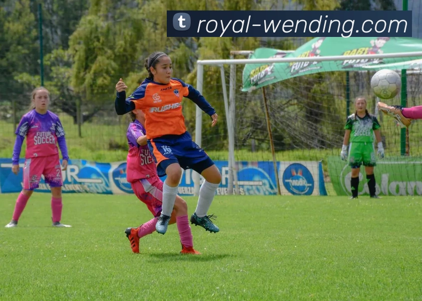 多媒体互动体验